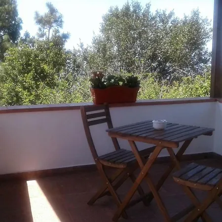 Finca Familiar En * Icod De Los Vinos
