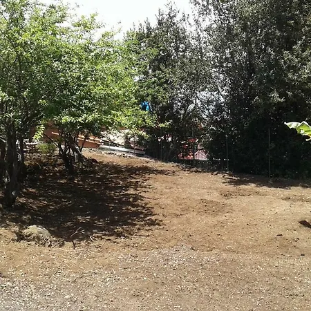 Finca Familiar En * Icod De Los Vinos
