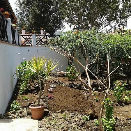 Finca Familiar En * Icod De Los Vinos